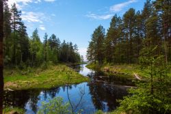 Nizhnesvirsky Nature Preserves